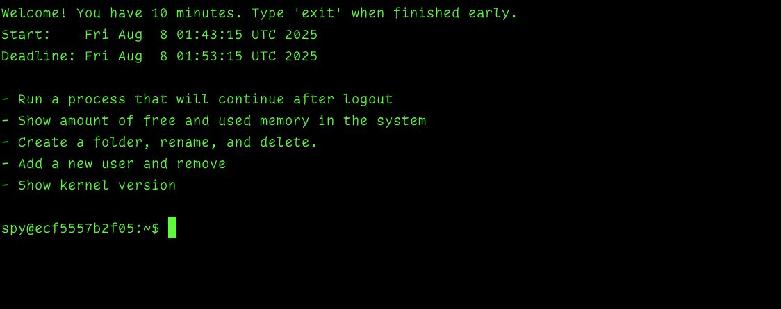 Terminal Output after connecting to the service via SSH